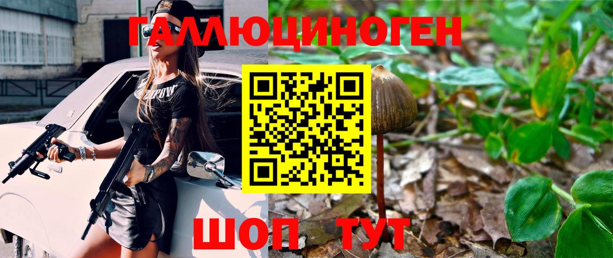 Галлюциногенные грибы MAGIC MUSHROOMS  Псилоцибиновые грибы MAGIC MUSHROOMS  Вход с VPN  Павловский Посад 